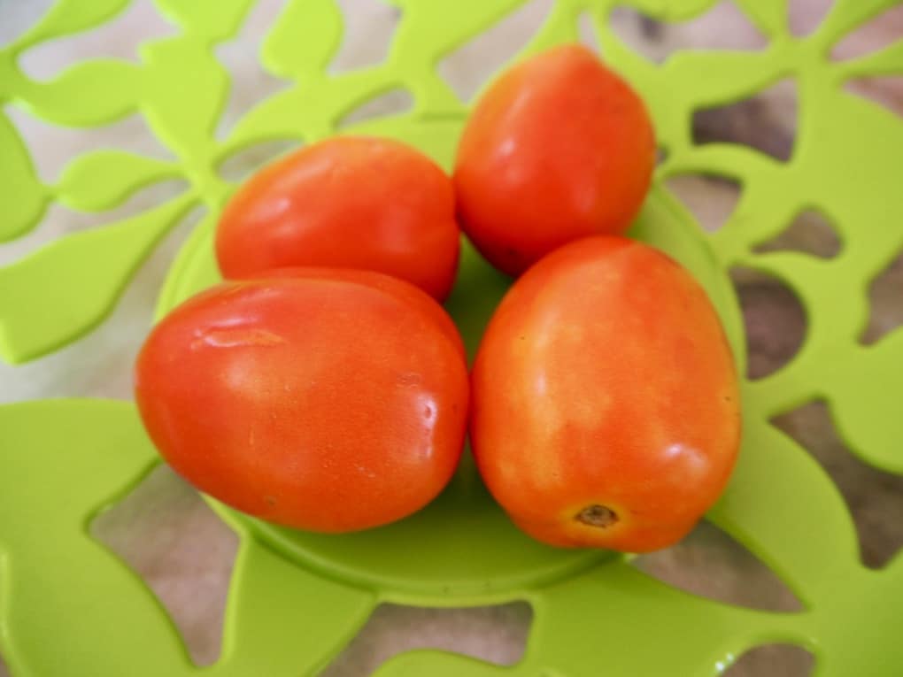 Arthrose Tomaten sind völlig in Ordnung
